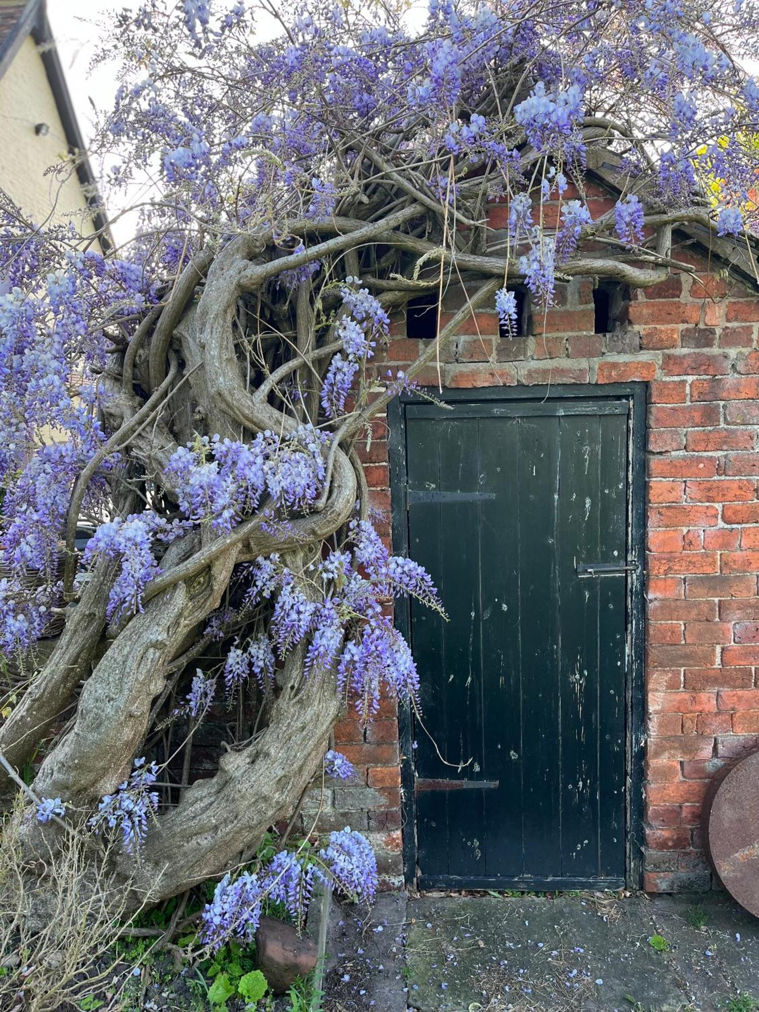 Bed and Breakfast Spenford House 1640 Listed House Idilic Location Pub Walking Distance Loppington Exterior foto